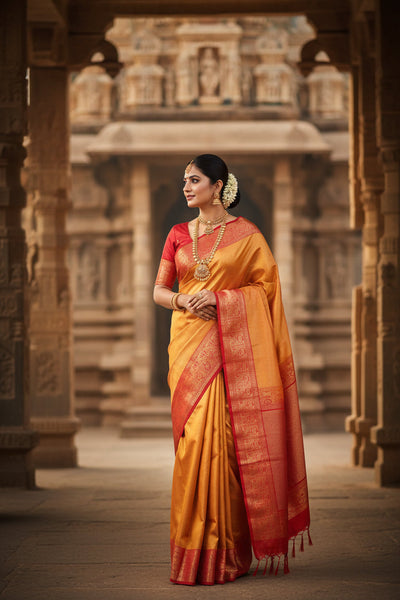RAAGINI - KANCHIPURAM SOFT SILK SAREES